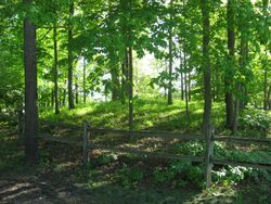 Dunns Pond Mound.jpg