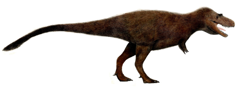 File:Gorgosaurus flipped.png