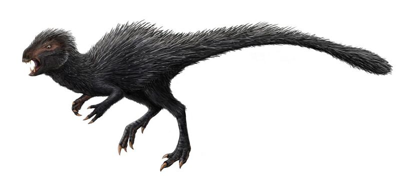 File:Heterodontosaurus restoration.jpg