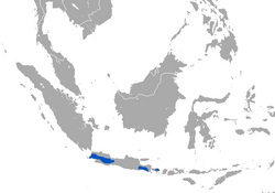 Javan Ferret-badger area.png