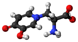 L-Mimosine zwitterion ball.png