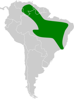 Molossops mattogrossensis map.svg