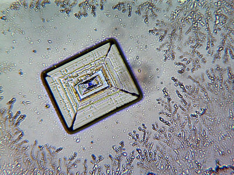 File:Natrium chloride kristal under microscope.jpg