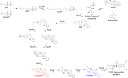 Paxiline biosynthesis.svg