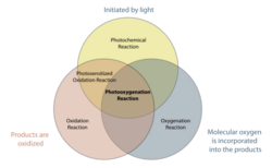 Photooxygenation venn diagram.svg