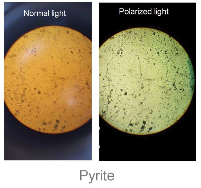 File:Pyrite under Normal and Polarized light.jpg