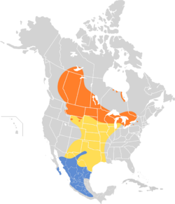 Spizella pallida map.svg