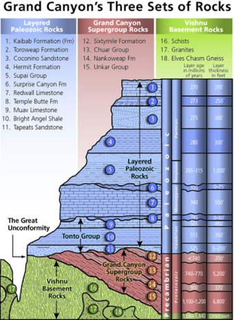 Stratigraphy of the Grand Canyon.png