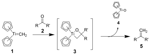 The reaction mechanism of methylidenation using the Tebbe reagent