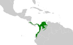Todirostrum nigriceps map.svg