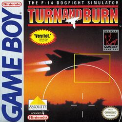 Turn and Burn The F-14 Dogfight Simulator.jpg