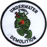 Underwater Demolition Teams shoulder sleeve patch.JPG