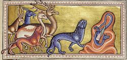Folio 9 Recto - Panther (detail)
