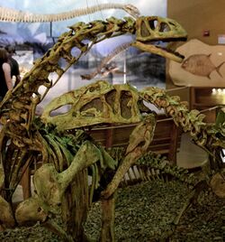 Bellusaurus and Monolophosaurus.jpg