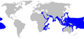 Blacktip reef shark geographic range