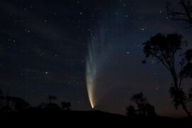 Comet McNaught as seen from Swift's Creek, Victoria on 23 January 2007