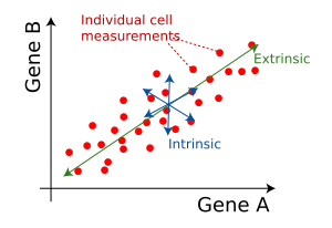 File:Extrinsic and intrinsic noise in cellular biology.svg