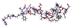 Liraglutide ball-and-stick 4APD.png