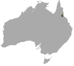 Mount Claro Rock Wallaby area.png