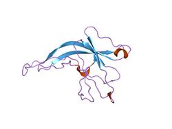 PDB 1ifg EBI.jpg