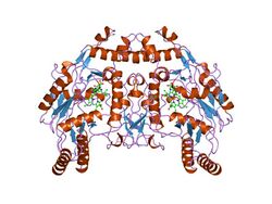 PDB 5nse EBI.jpg