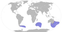 Pachyptila turtur map.svg