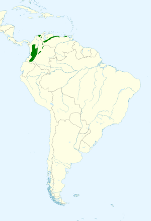 Psittacara wagleri map.svg