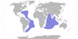 Pterodroma arminjoniana map.svg