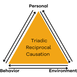 Center of graphic is text reading "Triadic Causation Model" Each corner has different text reading Personal, Behavior, and Environment. Arrows point between the two: Personal to Environment (and vice versa), Environment to Behavior (and vice versa), and Behavior to Personal (and vice versa)