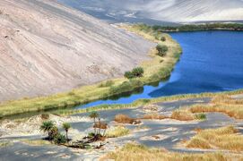 Blue lake surrounded by green-yellow vegetation, within a desert and at the foot of a hill