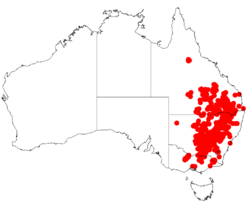 Acacia deanei DistMap.png