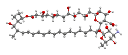Amphotericin-B-based-on-iodoacetyl-xtal-Mercury-3D-bs.png