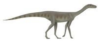Asilisaurus.jpg