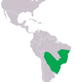 Caiman latirostis Distribution.png