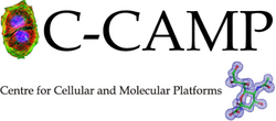 Centre for Cellular and Molecular Platforms Logo.png