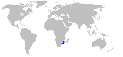 Cephaloscyllium sufflans distmap.png