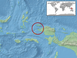 Cyrtodactylus irianjayaensis distribution.png