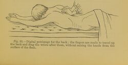 Digital petrissage for the back, extracted from Lectures on massage & electricity in the treatment of disease (1891).jpg