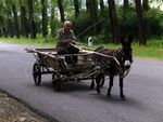 Donkey cart, Stepanavan.jpg