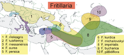 Fritillaria distribution map.png