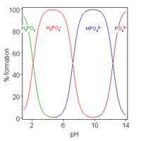 Acids with more than one ionizable hydrogen atoms are called polyprotic acids, and have multiple deprotonation states, also called species. This image plots the relative percentages of the different protonation species of phosphoric acid H 3 P O 4 as a function of solution p H. Phosphoric acid has three ionizable hydrogen atoms whose p K A's are roughly 2, 7 and 12. Below p H 2, the triply protonated species H 3 P O 4 predominates; the double protonated species H 2 P O 4 minus predominates near p H 5; the singly protonated species H P O 4 2 minus predominates near p H 9 and the unprotonated species P O 4 3 minus predominates above p H 12