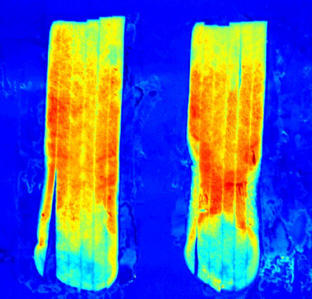 File:Hyperspectral image of "sugar end" potato strips.jpg