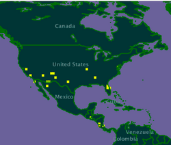 Map of occurrences of Polistes dorsalis.png