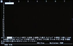 Microsoft Multiplan K3.1 Japanese on IBM PS55.jpg
