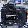 Nikon D6 11 jun 2022f.jpg