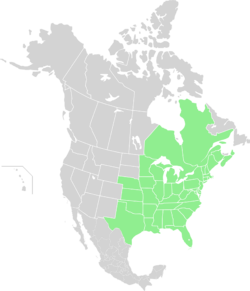 North America Range Epitheca cynosura.svg