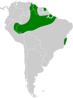 Nyctibius leucopterus map.svg