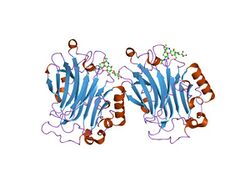 PDB 1un1 EBI.jpg