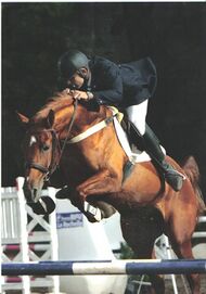 A horse and rider jumping a fence, the horse is nearly head-on to the camera
