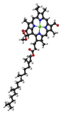 Chlorophyll-d-3D-balls.png